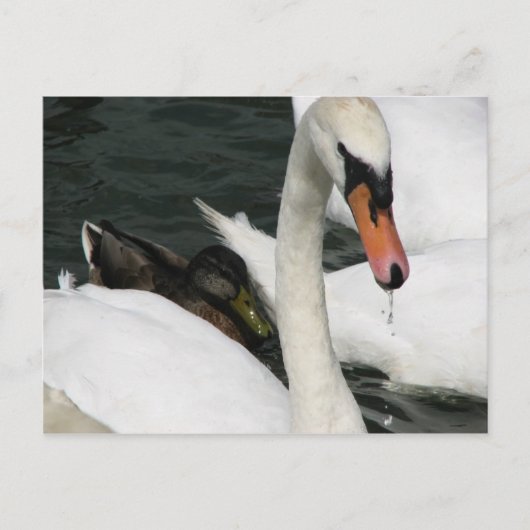 Briefkaart Watermead Country Park (Voorkant)