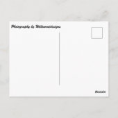 briefkaart "Watertaxi op Put-in-Bay" (Achterkant)