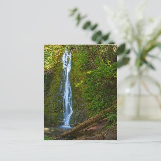 Briefkaart Waterval in de bosbouw (Staand voorkant)