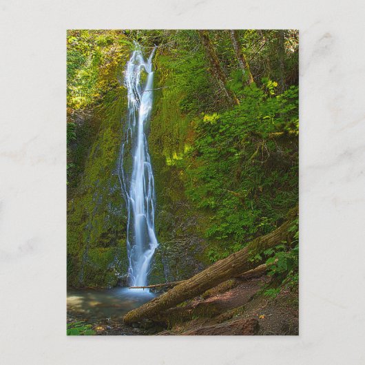 Briefkaart Waterval in de bosbouw (Voorkant)