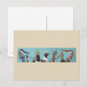 Briefkaart watervogels (Voorkant / Achterkant)