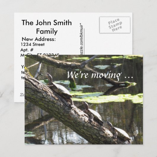 Briefkaart - We gaan verhuizen... schildpadden (Voorkant / Achterkant)