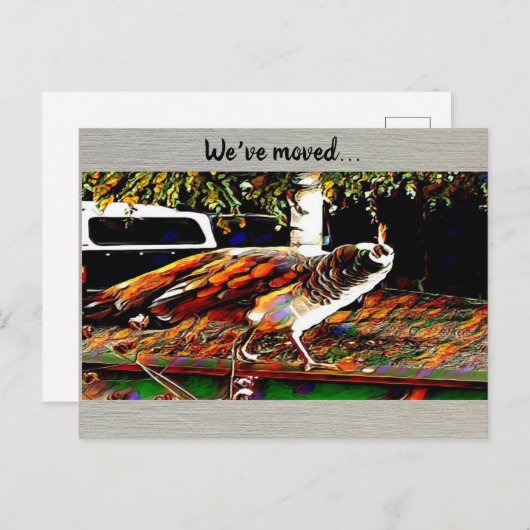 briefkaart "We hebben ons verplaatst" (Voorkant / Achterkant)