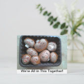 Briefkaart - We zijn allemaal in dit gezelschap -  (Staand voorkant)