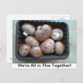 Briefkaart - We zitten allemaal in dit alles samen (Voorkant / Achterkant)