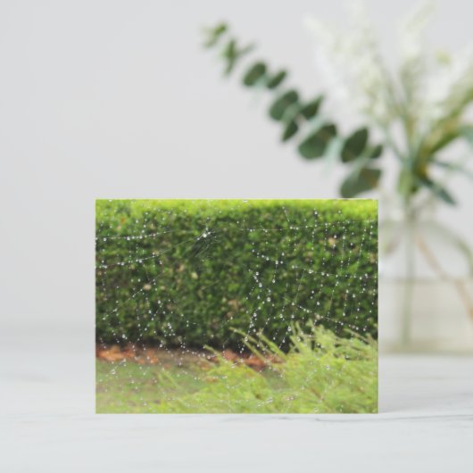 Briefkaart - Web van de Natuur (Staand voorkant)