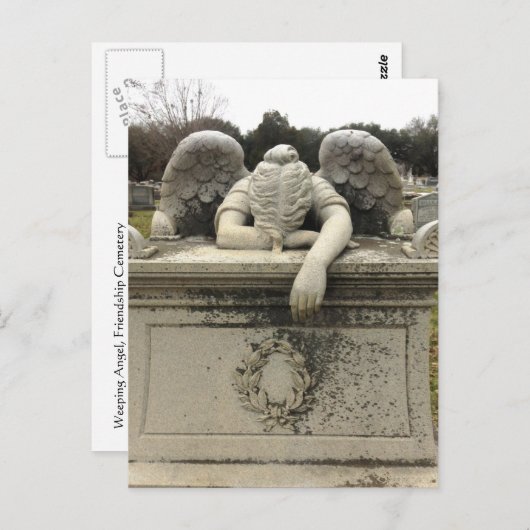 Briefkaart Weeping Angel (Voorkant / Achterkant)