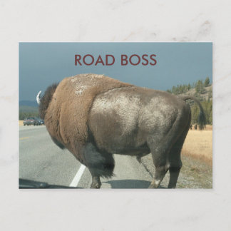 BRIEFKAART WEGBOSS
