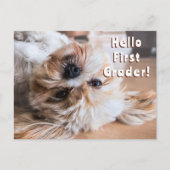 Briefkaart Welkom Studenten naar Class Puppy (Voorkant)