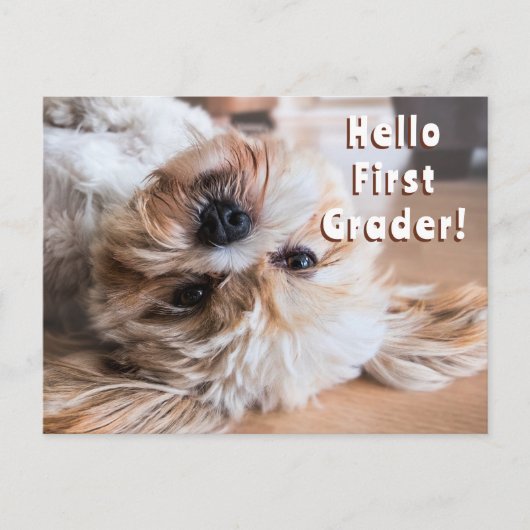 Briefkaart Welkom Studenten naar Class Puppy (Voorkant)