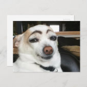 Briefkaart wenkbrauw hond meme (Voorkant / Achterkant)