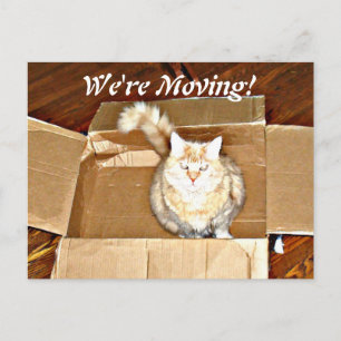 briefkaart 'We're Moving'