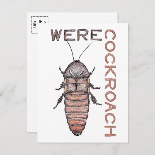 Briefkaart Werecockroach (Voorkant / Achterkant)