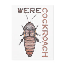 Briefkaart Werecockroach