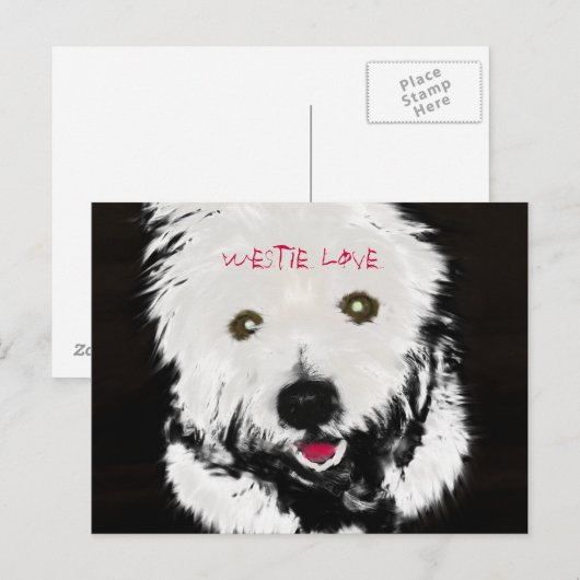 Briefkaart West Highland Terrier (Voorkant / Achterkant)