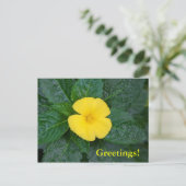 Briefkaart - West Indian Holly (Staand voorkant)