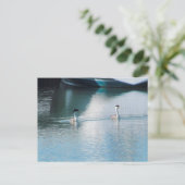 Briefkaart - Westerne Grebe in Harbour (hrz) (Staand voorkant)