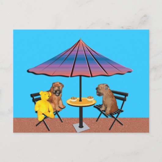 Briefkaart: Wheaten Chat Briefkaart (Voorkant)