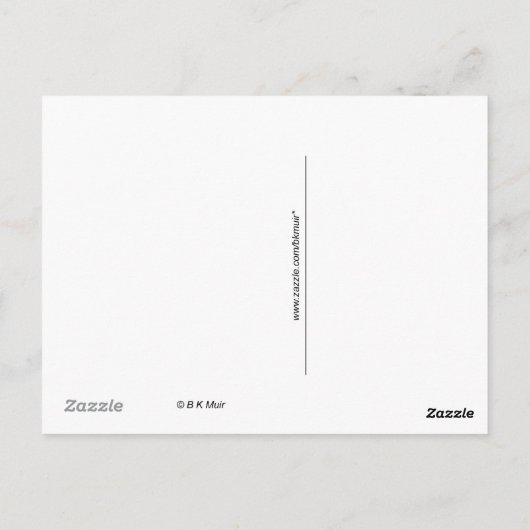 Briefkaart - White Alpaca (Achterkant)