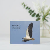 Briefkaart White Bellied Zee Eagle (Staand voorkant)