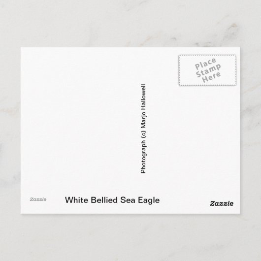 Briefkaart White Bellied Zee Eagle (Achterkant)