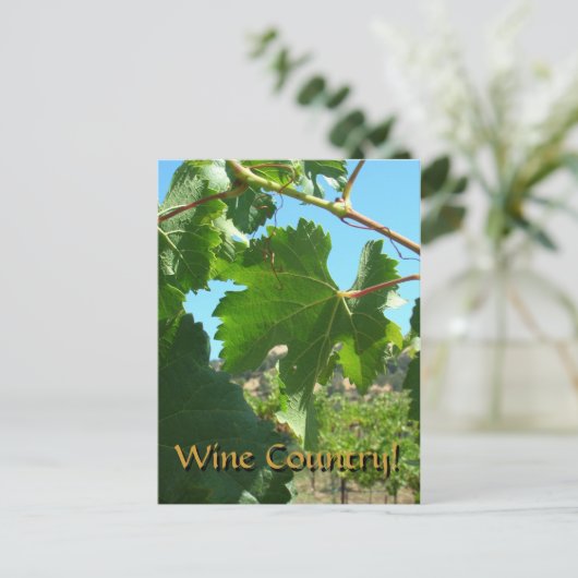 Briefkaart - wijnland (Staand voorkant)
