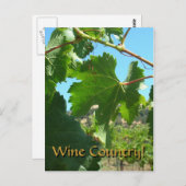 Briefkaart - wijnland (Voorkant / Achterkant)