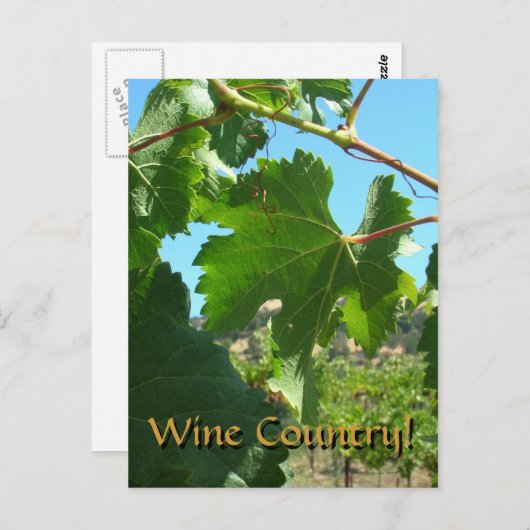 Briefkaart - wijnland (Voorkant / Achterkant)
