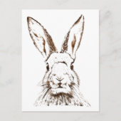 Briefkaart - Wild Hare (Voorkant)