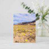 Briefkaart Wildbloemen in Death Valley NP-V (Staand voorkant)