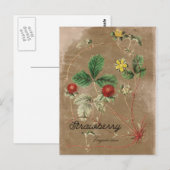 Briefkaart Wilde aardbei (Voorkant / Achterkant)
