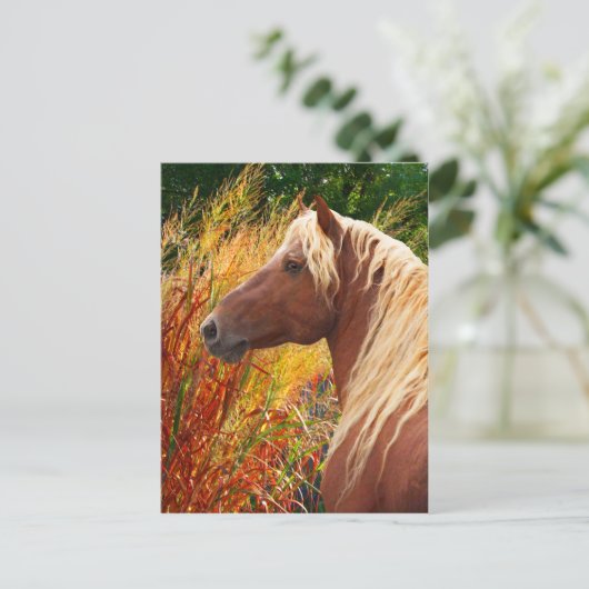 briefkaart "Wildvuur" (Staand voorkant)