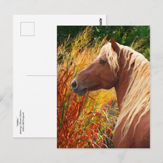 briefkaart "Wildvuur" (Voorkant / Achterkant)