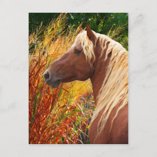 briefkaart "Wildvuur"