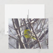 Briefkaart - Winter Bird (Voorkant / Achterkant)
