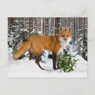 briefkaart "Winter Fox"-feestdag