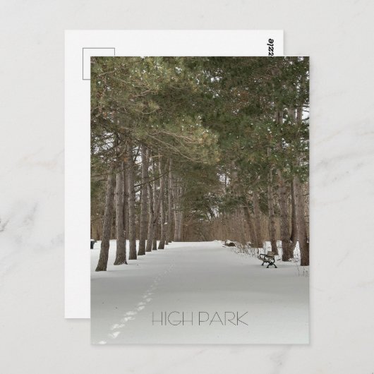 Briefkaart winter in High Park, Toronto (Voorkant / Achterkant)