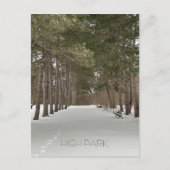 Briefkaart winter in High Park, Toronto (Voorkant)