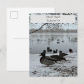 Briefkaart winter in High Park Toronto (Voorkant / Achterkant)