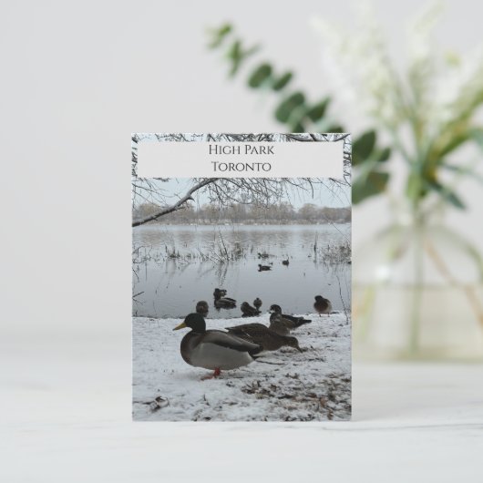 Briefkaart winter in High Park Toronto (Staand voorkant)