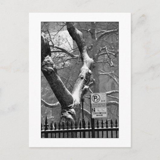 briefkaart 'Winter in the City' (Voorkant)