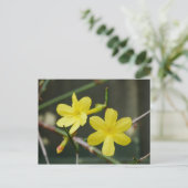 Briefkaart Winter Jasmine Flowers (Staand voorkant)