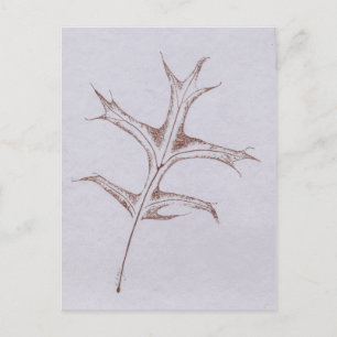 briefkaart "Winter Pin Oak"