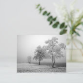 Briefkaart winterbomen (Staand voorkant)