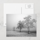 Briefkaart winterbomen (Voorkant / Achterkant)