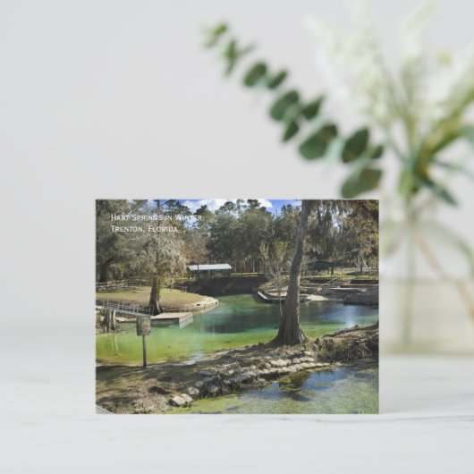 Briefkaart winterlente (Staand voorkant)