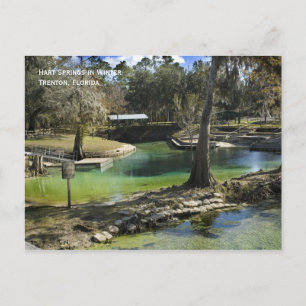 Briefkaart winterlente