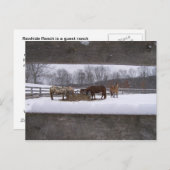 Briefkaart wintermeel (Voorkant / Achterkant)