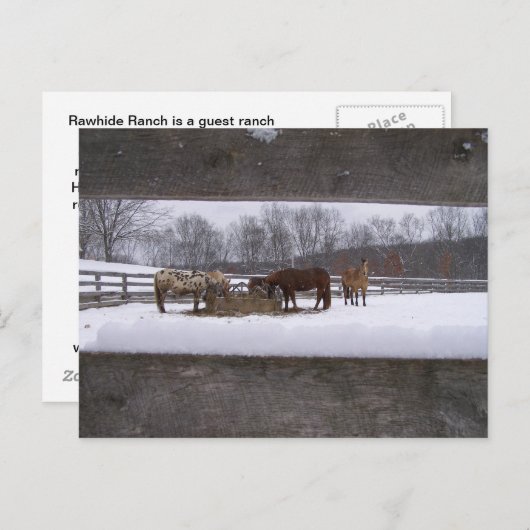 Briefkaart wintermeel (Voorkant / Achterkant)