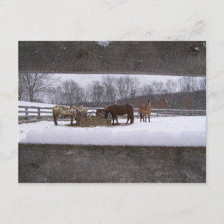 Briefkaart wintermeel